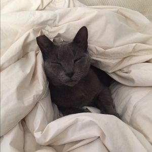 Meet your Posher, Chrissy